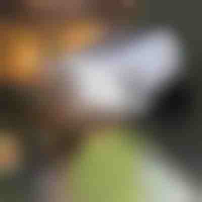 Solarleuchte mit Bewegungssensor | LUMACAM