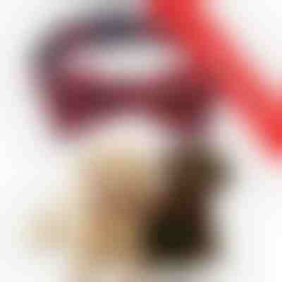 2 x Festliches Schneeflocken-Hundehalsband | DOGICOLLAR